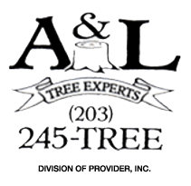 A & L Tree Experts